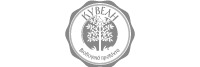 Kiveli logo